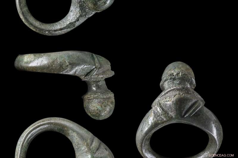 Record-Breaking Iron Age Weapon Hoard Unearthed in Western Germany