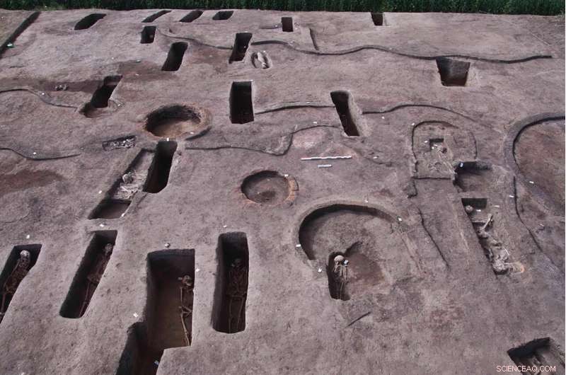 Egyptian Archaeologists Uncover 110 Ancient Tombs in the Nile Delta