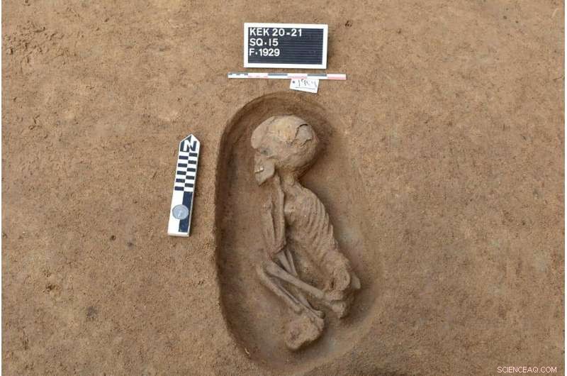 Egyptian Archaeologists Uncover 110 Ancient Tombs in the Nile Delta