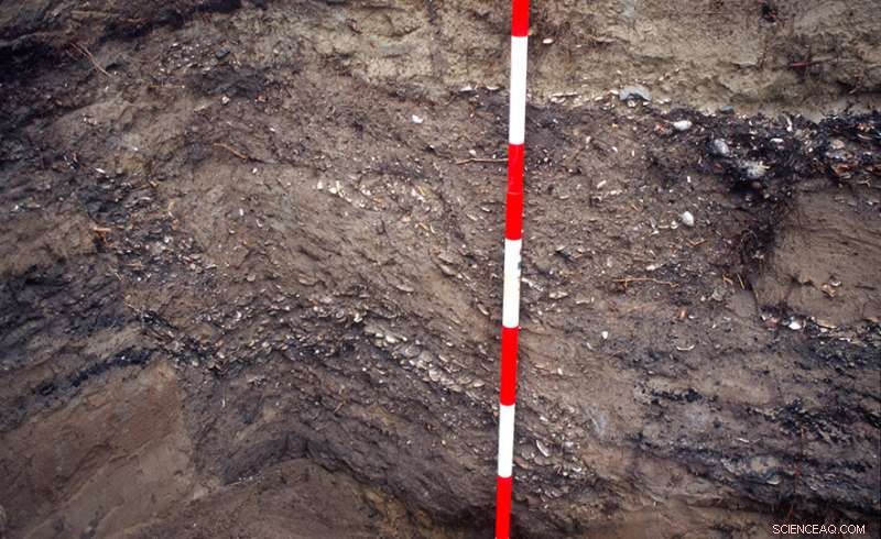 Scientists Uncover 15th-Century Kumara Pits Near Dunedin, Illuminating Māori Heritage