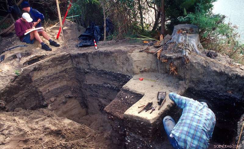 Scientists Uncover 15th-Century Kumara Pits Near Dunedin, Illuminating Māori Heritage