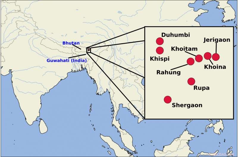 Reconstructing Lost Lexicon: How Linguists Use Comparative Analysis to Predict Unknown Words