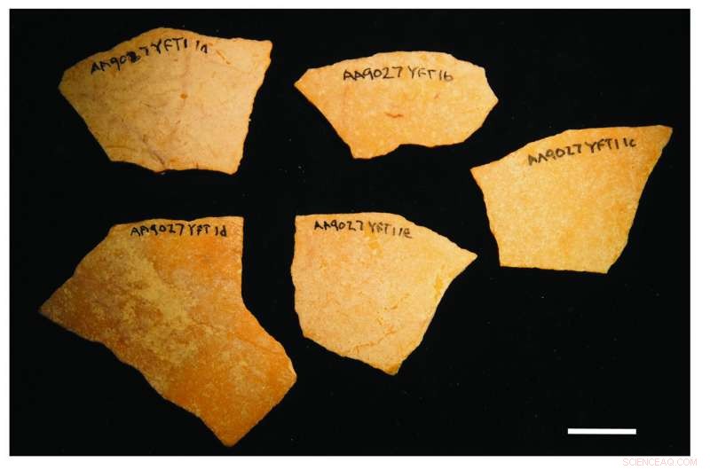 Ostrich Eggshells from Ysterfontein Pinpoint Early Human Activity in Africa