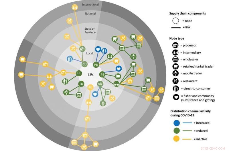 How Small-Scale Seafood Supply Chains Adapted to COVID-19 Disruptions
