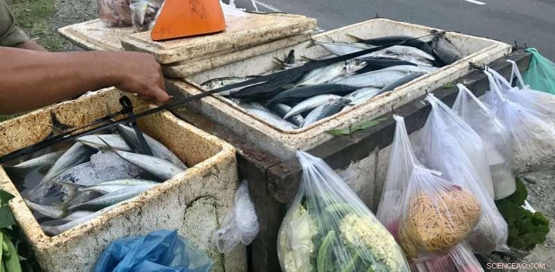 How Small-Scale Seafood Supply Chains Adapted to COVID-19 Disruptions