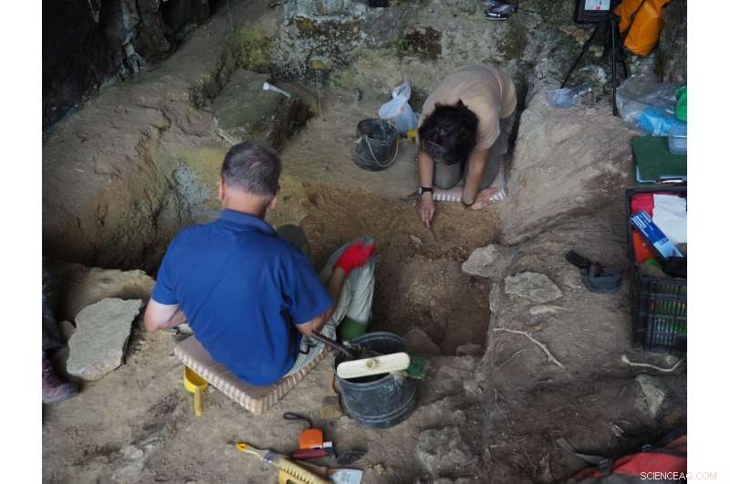 Advanced Spatial Analysis Reveals Unexpected Clusters in Paleolithic Sites