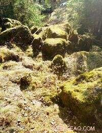 Spectacular Bronze Age Discovery Near Alingsås Unveils 50 Large Artifacts