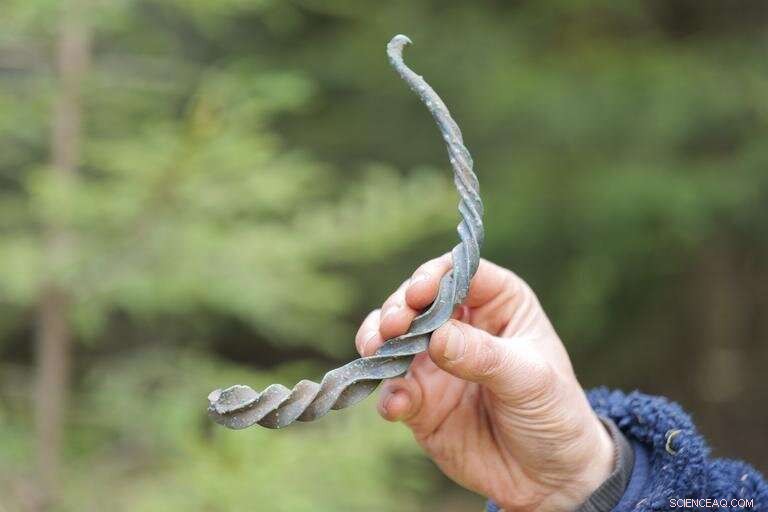 Spectacular Bronze Age Discovery Near Alingsås Unveils 50 Large Artifacts