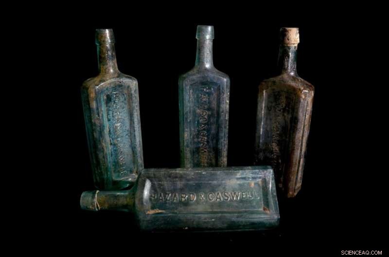 Archaeological Evidence Reveals Parasitic Infections Among 19th-Century New England Elites