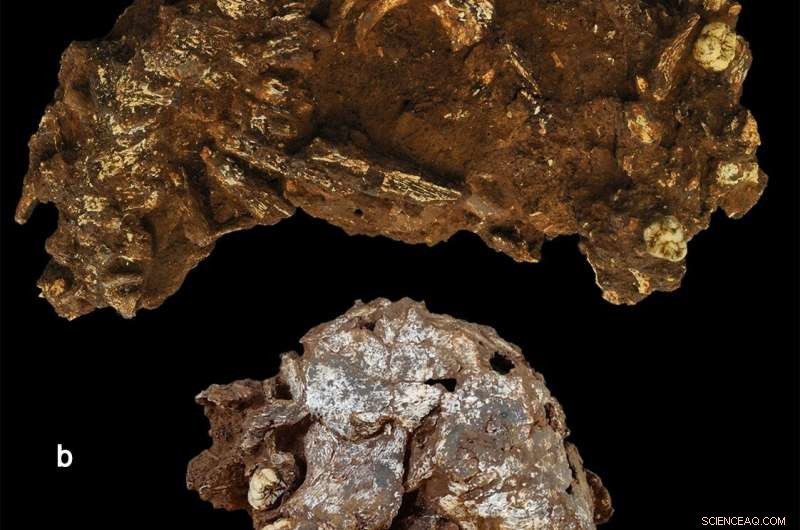 Ancient African Burial Revealed: The Oldest Known Human Interment