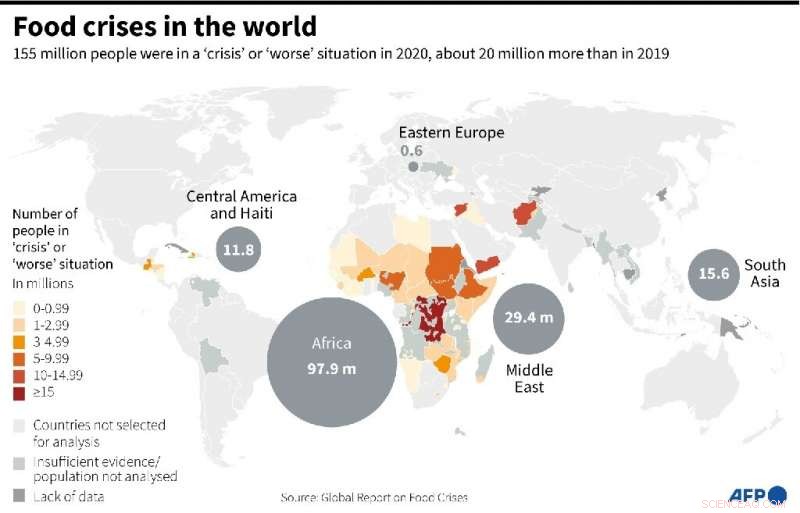 Pandemic, War, and Climate Change Heighten Global Food Insecurity