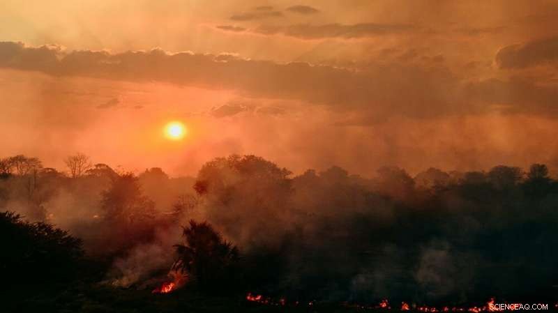 Earliest Human-Made Landscape on Earth Revealed by Archaeologists