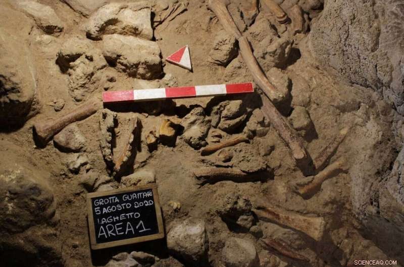 9 Neanderthal Remains Unearthed Near Rome: New Insights into Early Human Life