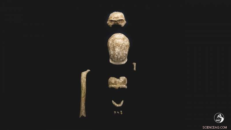 9 Neanderthal Remains Unearthed Near Rome: New Insights into Early Human Life