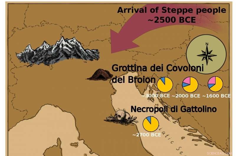 How Bronze Age Migrations Reshaped Italy’s Society and Genomic Landscape