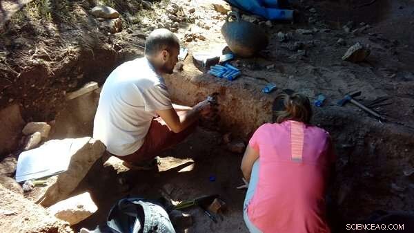 Revealing Prehistoric Human Activity Through Rare Earth Element Analysis