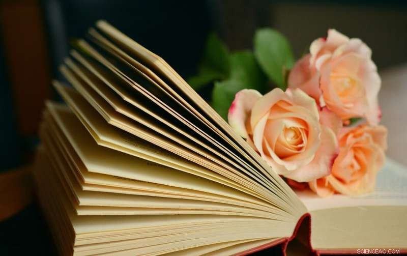 Who Reads Contemporary Erotic Novels? Insights into Their Growing Popularity