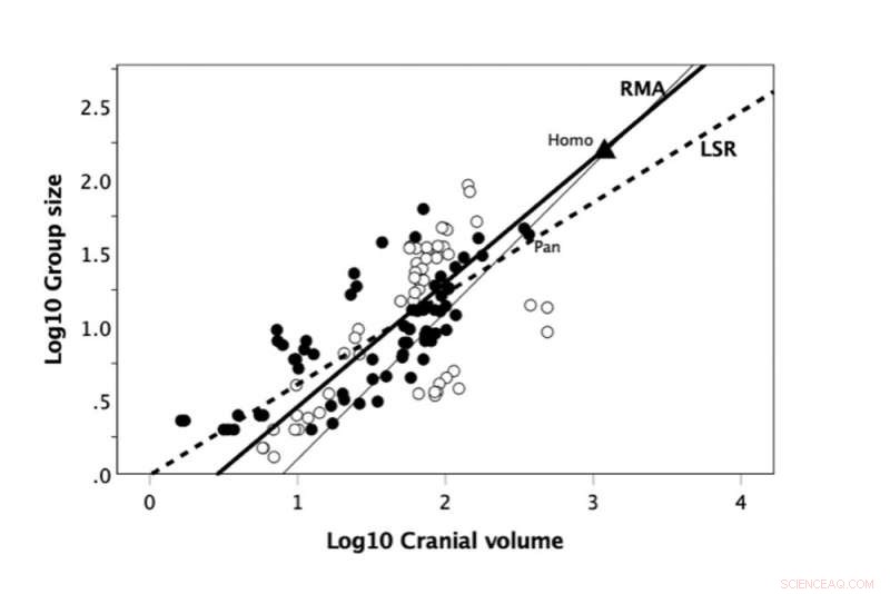 Why the 150-Friendship Limit Theory Stands After 30 Years of Evidence
