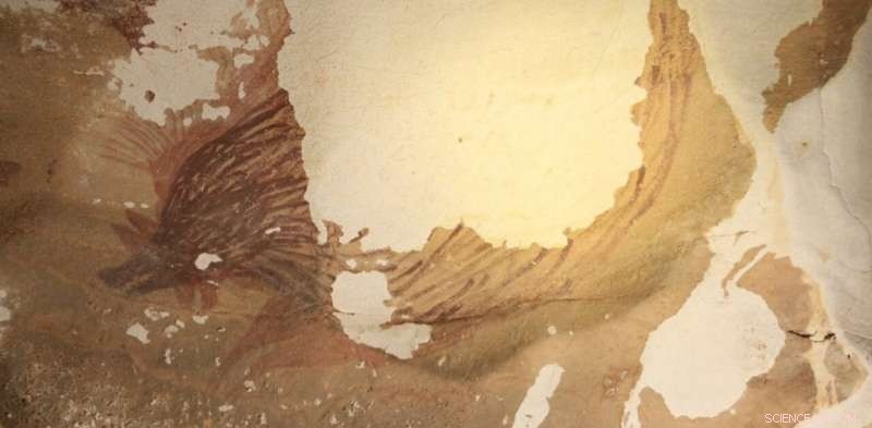 Climate Change Threatens the World’s Ancient Rock Art