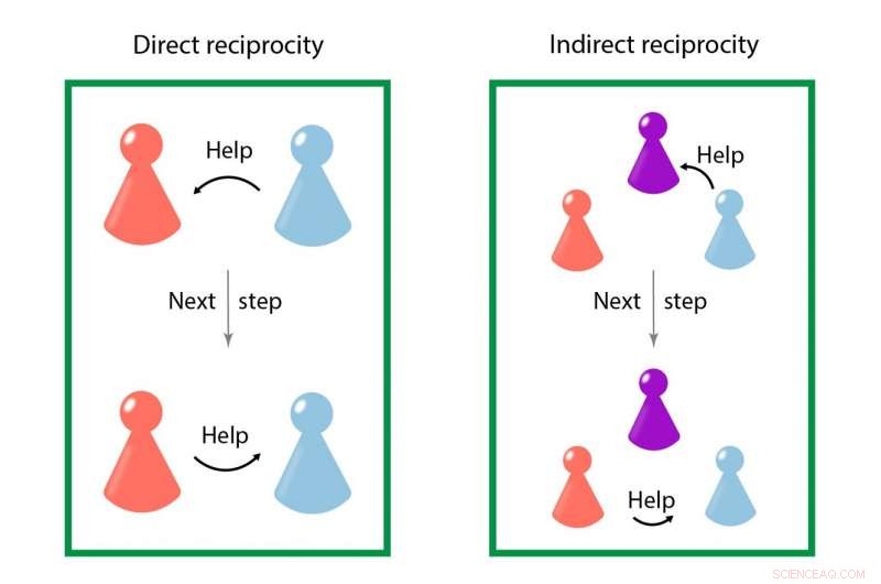 New Study Quantifies How Cooperation and Reputation Drive Evolutionary Success