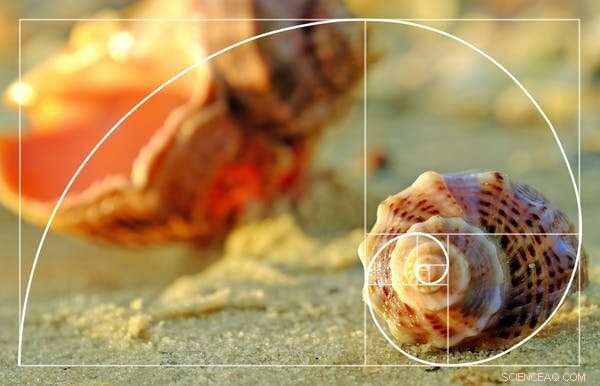 The Golden Ratio: How an Ancient Greek Formula Shapes Hit Musicals