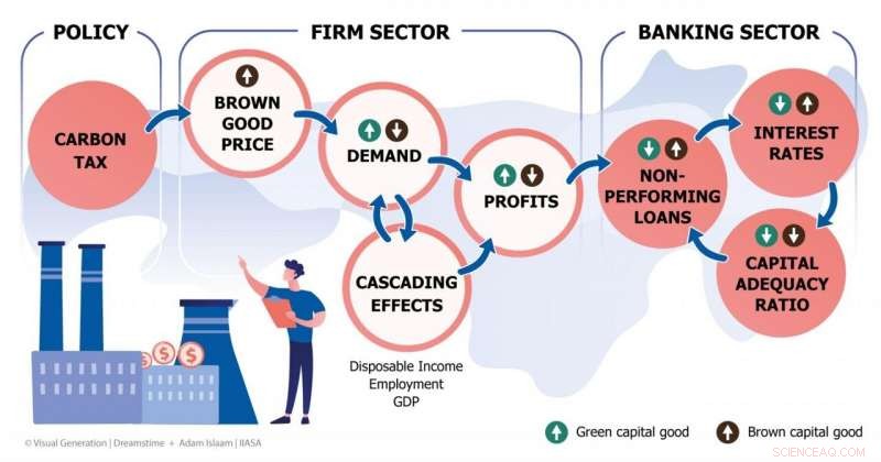 How Climate Policies Shape Transition Risks and Financial Stability