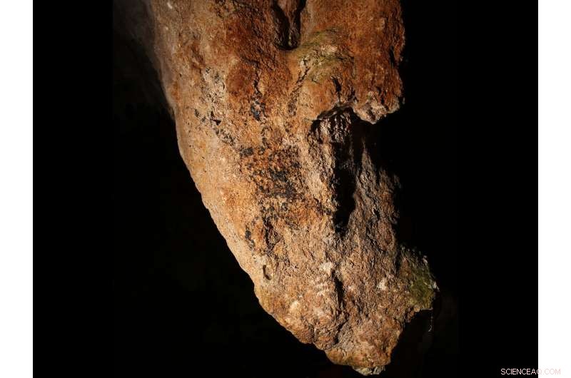 Southeast Asia s First Directly Dated Cave Art Unveils Early Human Activity