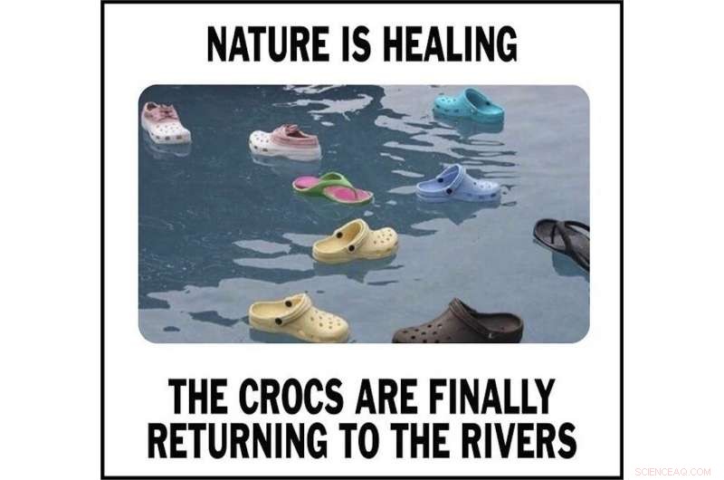 Analyzing  Nature Is Healing  Memes: Social Media s Pandemic Phenomenon