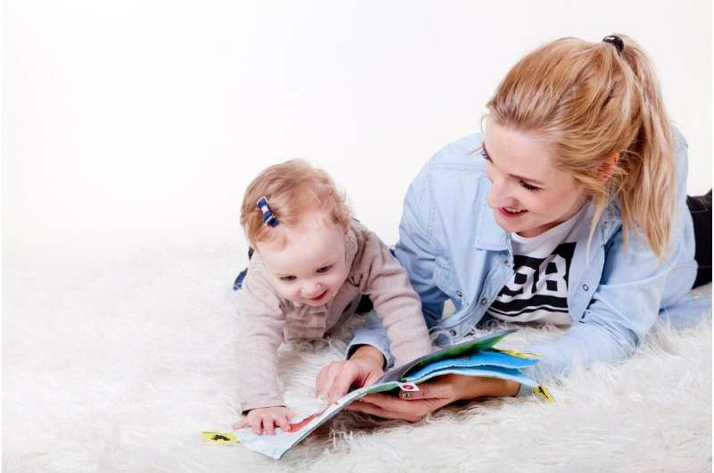 Parents Adapt Home Literacy Environment to Children’s Reading Progress