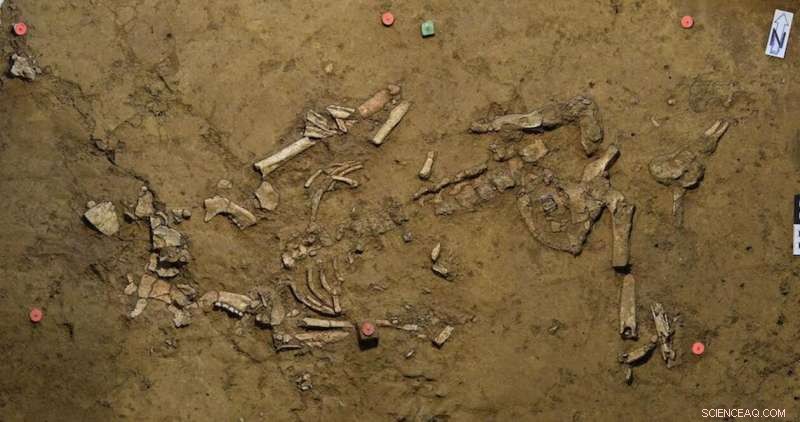 Scientists Discover Southwest Germany’s Earliest Gold Artifact – 3,800-Year-Old Spiral Ring