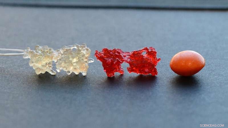 Innovative Candy-Style Models Enhance STEM Learning for Visually Impaired Students