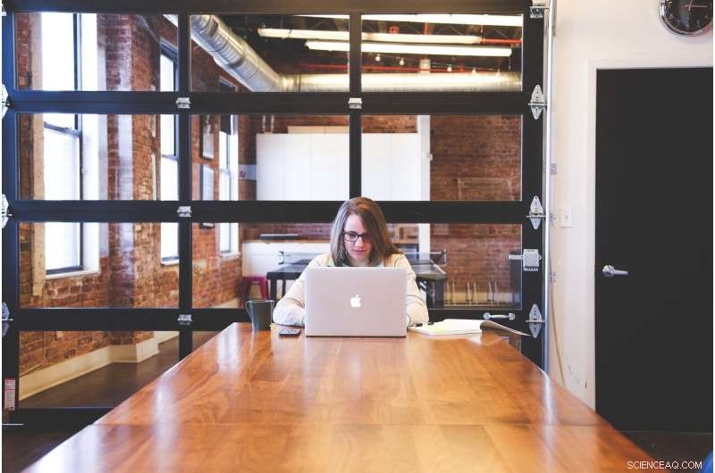 Mumpreneur Success Still Depends on Traditional Entrepreneurial Norms