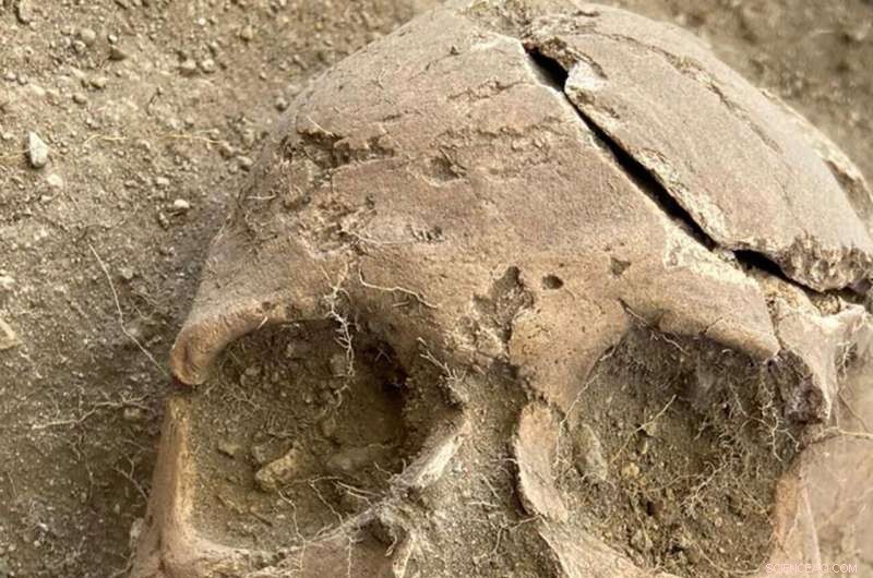 18th‑Century Graveyard Unearthed at Historic Caribbean Plantation