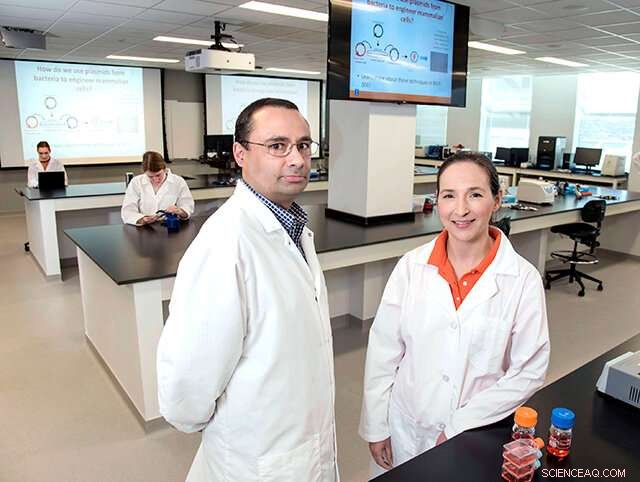 Innovating Remote Lab Instruction: Adapting Techniques for Online Success