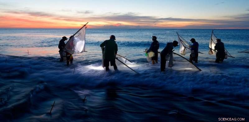 Integrating Indigenous Wisdom: Essential for Sustainable Ocean Governance