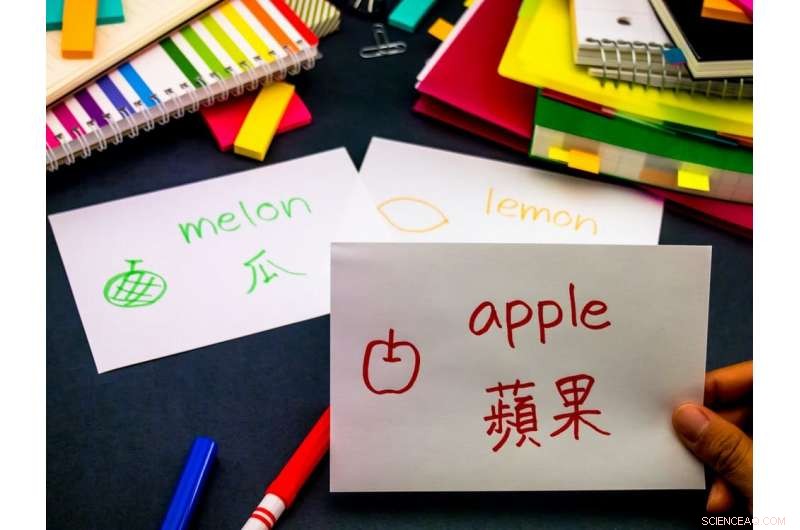 Defining Bilingualism: The Complex Factors That Shape Language Proficiency