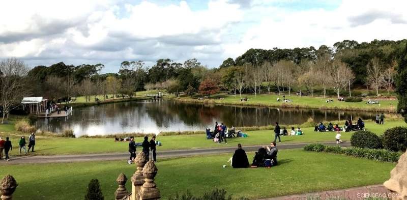 Cut Loneliness in Half: 30% Urban Green Space Reduces Loneliness Risk by 26%