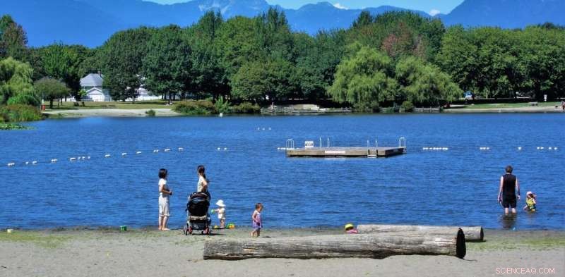 Prevent Green Gentrification: Ensuring Urban Forests Are Accessible for All