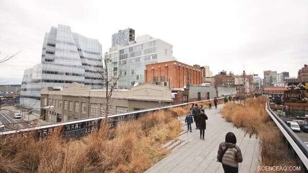 Prevent Green Gentrification: Ensuring Urban Forests Are Accessible for All