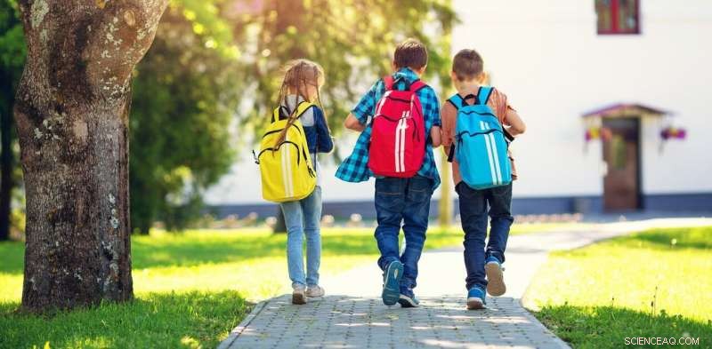 How Green Spaces Around Primary Schools Boost Student Performance – Study Finds