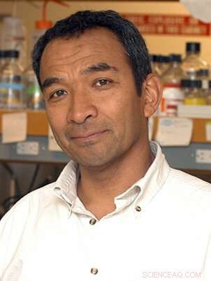 Public Health Leader Urges Transition to a New Normal Post-Pandemic