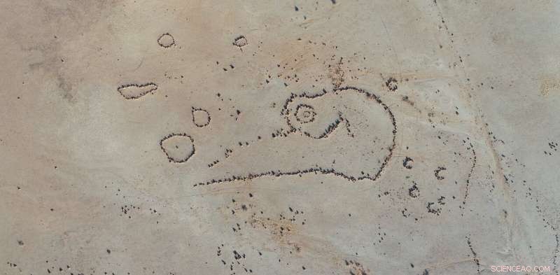 New Archaeological Study Examines Dark Emu Claims of Aboriginal Agriculture and Settlements