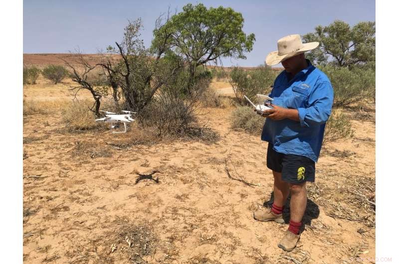 New Archaeological Study Examines Dark Emu Claims of Aboriginal Agriculture and Settlements