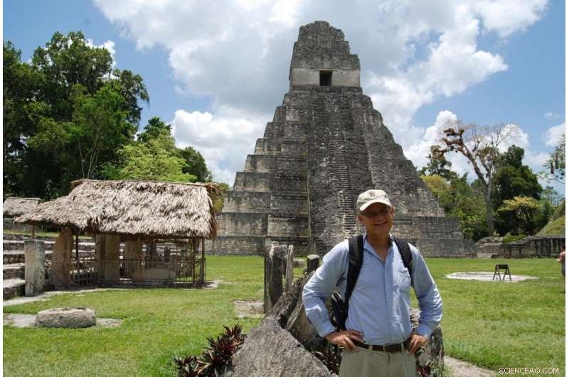 Did Ancient Maya Cities Include Public Parks?