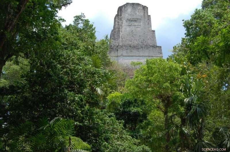 Did Ancient Maya Cities Include Public Parks?