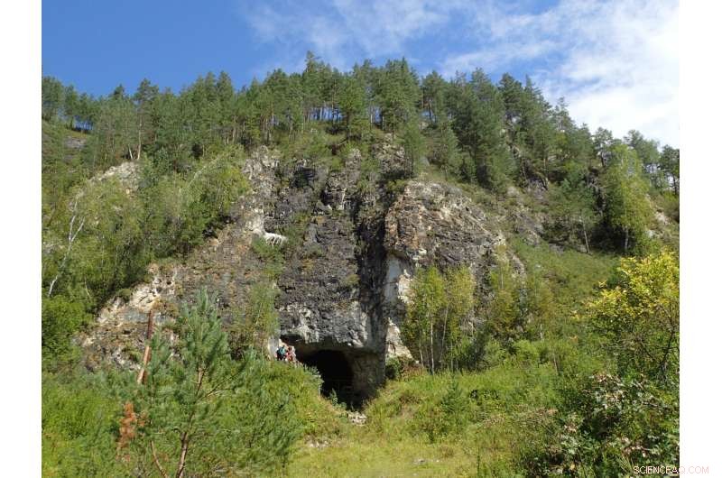 Ancient Sediment DNA Uncovers the Rich Occupational History of Denisova Cave