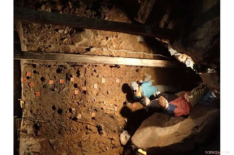 Ancient Sediment DNA Uncovers the Rich Occupational History of Denisova Cave