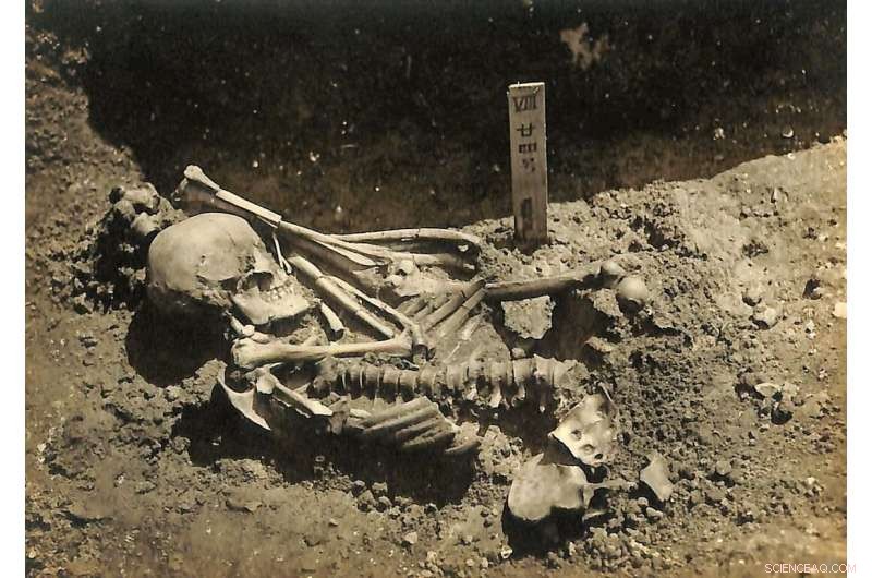 Scientists Discover 3,000-Year-Old Shark Attack Victim in Japan s Inland Sea