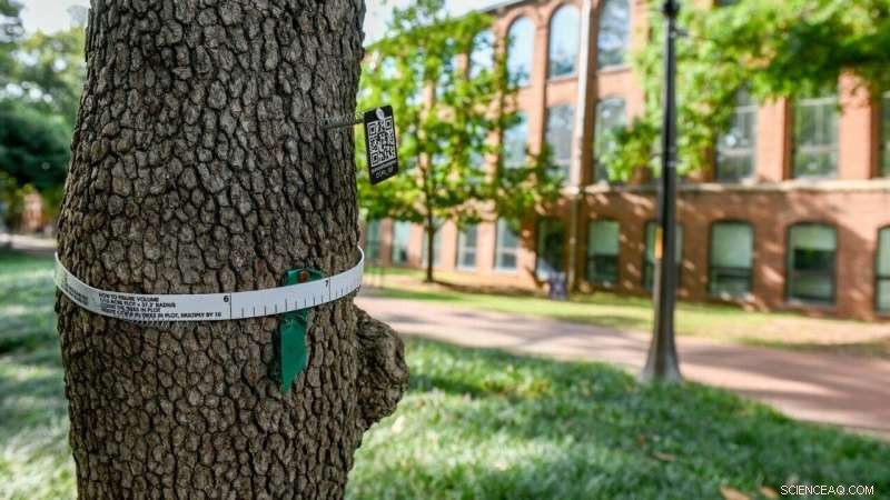 Achieving True Inclusivity in Citizen Science Demands More Than a Rebrand