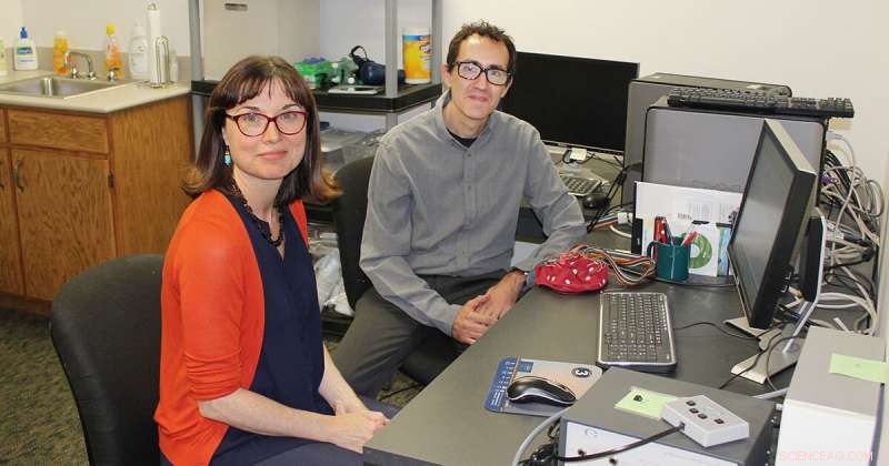 University of Kansas Study: Adults Rapidly Acquire Second Language Skills